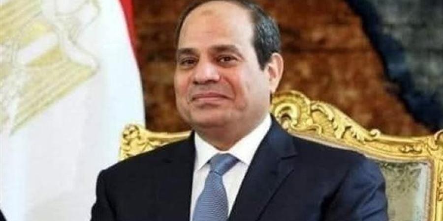 الرئيس السيسي والعاهل الأردني يؤكدان وحدة موقفي مصر والأردن وضرورة تنفيذ وقف النار في غزة