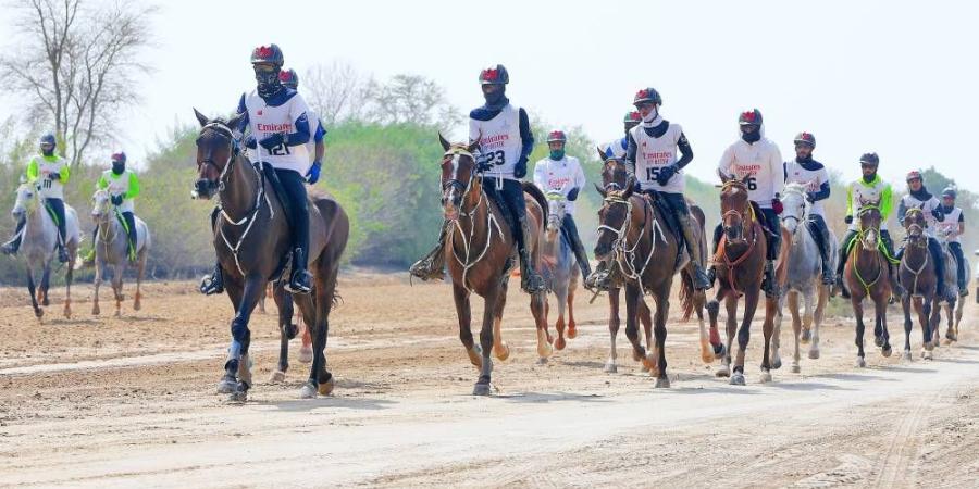 كأس محمد بن راشد يختتم مهرجان القدرة السبت