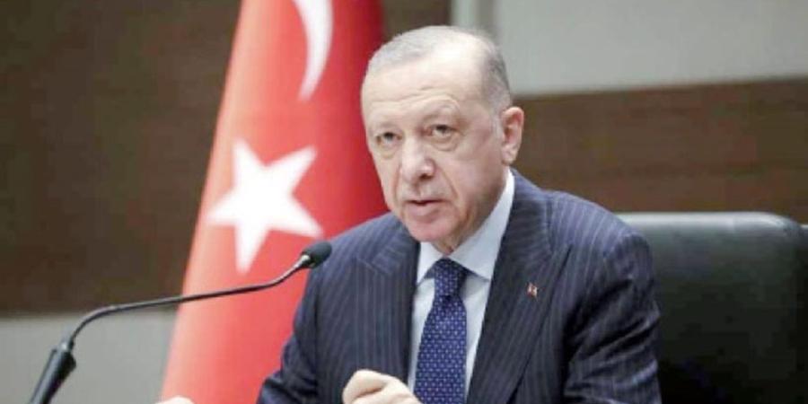 أردوغان: ارتقينا بتركيا إلى مصاف اقتصادات التريليون دولار