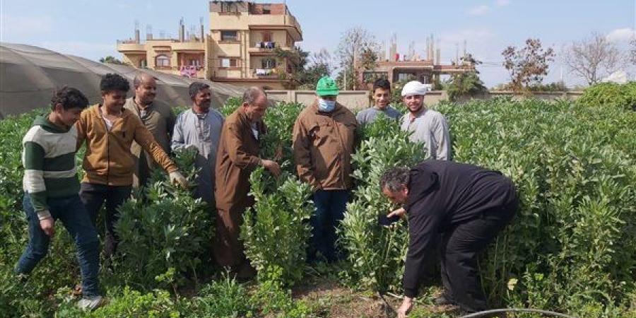 البحوث الزراعية: حصاد أنشطة مبادرة تفعيل المراكز الإرشادية خلال شهر فبراير 2025