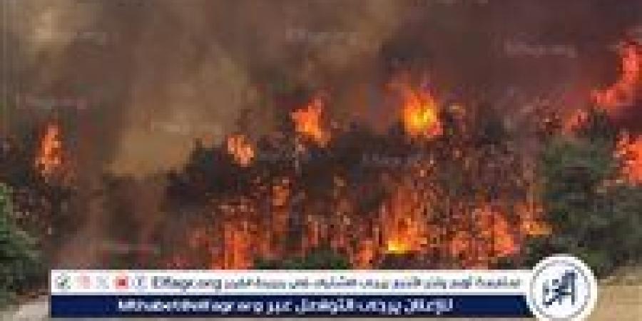 "يديعوت أحرنوت": إسرائيل لم ترد بعد على طلب السلطة الفلسطينية المساعدة في إخماد حرائق القدس