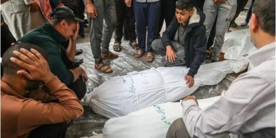 حسين هريدي: ما يحدث في غزة مأساة إنسانية غير مسبوقة في تاريخ البشرية