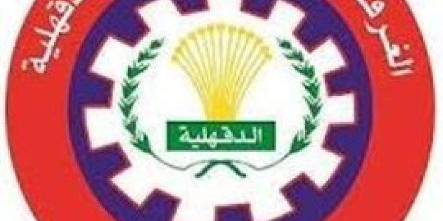 "غدا " فتح باب تلقى طلبات إعادة تشكيل مجالس إدارات ٥١ شعبة نوعية بغرفة الدقهلية