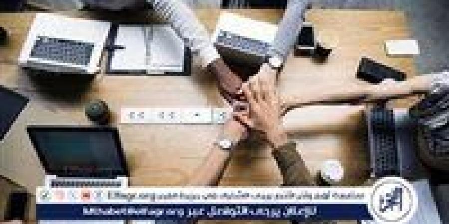 قانون العمل الجديد في مصر 2025.. حماية أكبر للعمال وإلغاء استمارة «6» رسميًا