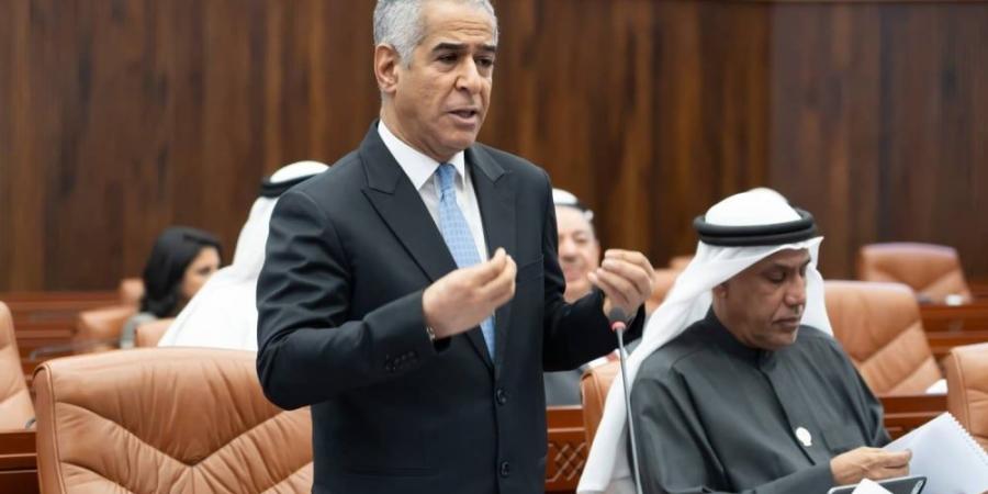 «المالية»: 300 شركة تخضع لضريبة متعددة الجنسيات