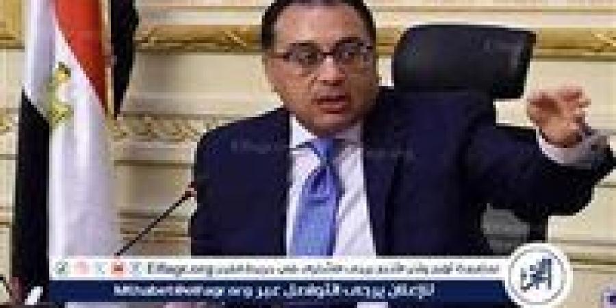 مدبولي: مشروع "كيزاد شرق بورسعيد" يجسد الشراكة الاستراتيجية بين مصر والإمارات