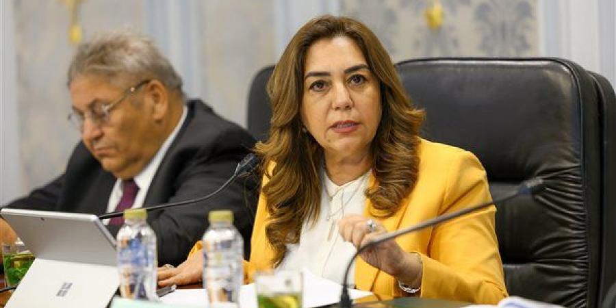 التنمية المحلية: طرح 13 مجزر على المستثمرين بالمرحلة الأولى من تطوير المجازر