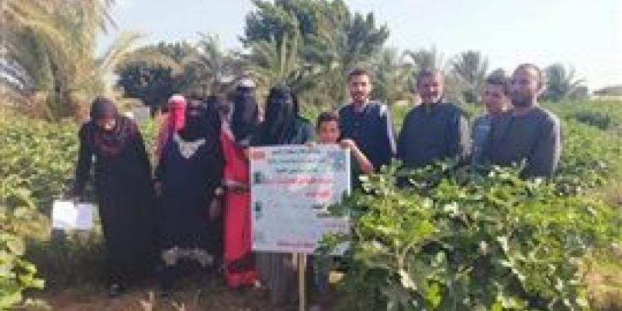 "الزراعة" تواصل تنفيذ المدارس الحقلية ضمن مشروع "سيل" لدعم المستفيدين