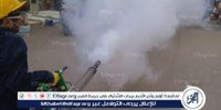 محافظ أسيوط: حملات وقائية لرش البعوض بساحل سليم