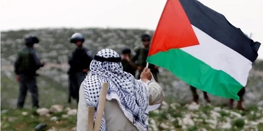 عدد الفلسطينيين تضاعف نحو 10 مرات بعد 77 عاماً على النكبة