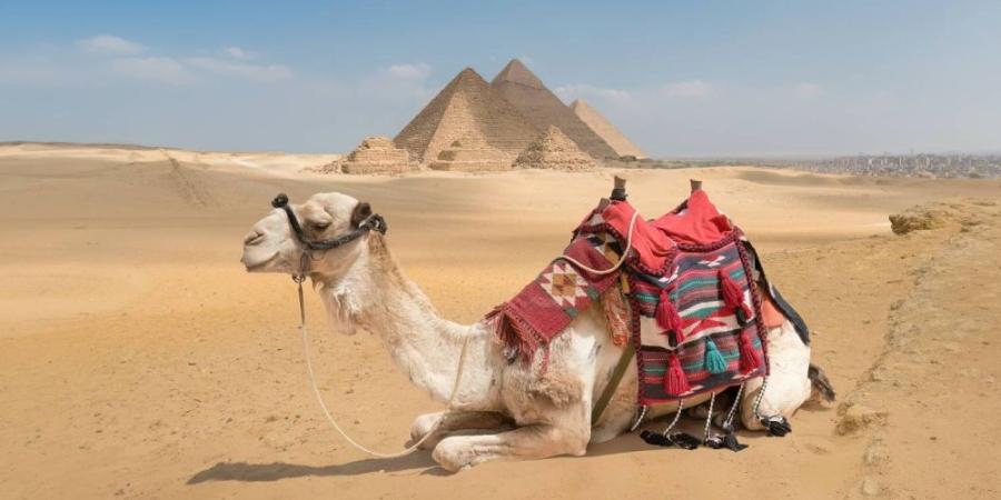 موجة حارة تضرب مصر نهاية الأسبوع.. الحرارة تقترب من 44 درجة مئوية