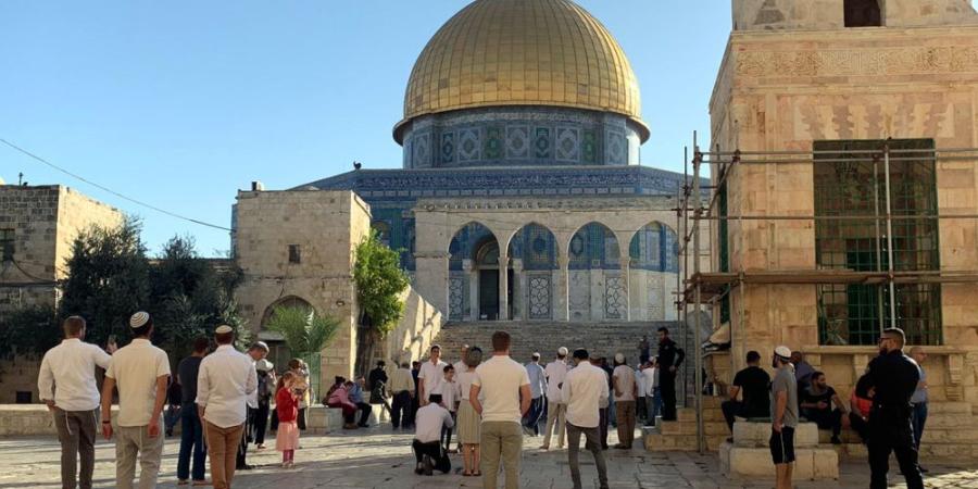 بحماية قوات الاحتلال.. مستوطنون يقتحمون المسجد الأقصى مجددًا