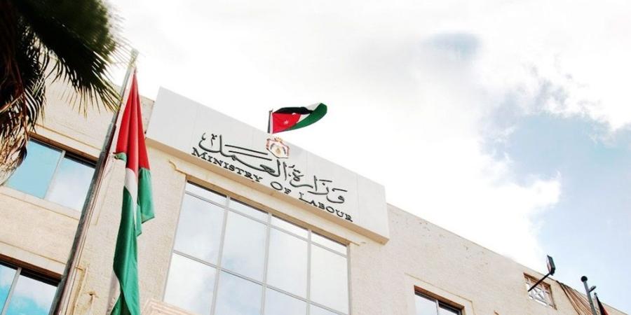 الكشف عن عدد فرص العمل المتحققة عبر "الوطني للتشغيل"