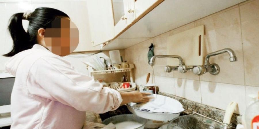 الموافقة على الأسباب الموجبة لمشروع نظام ترخيص شركات خدمة تنظيف المنازل