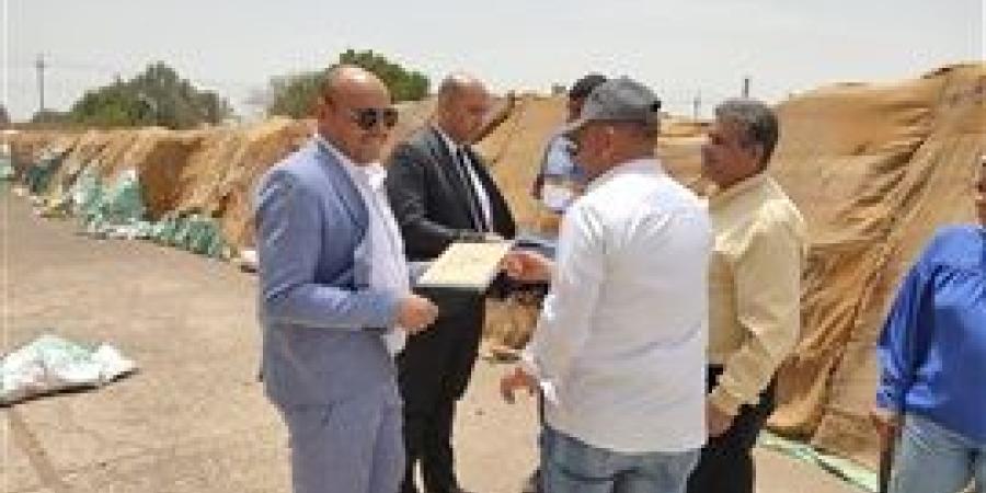صوامع وشون كفر الشيخ تستقبل 150 ألف طن قمح من المزارعين