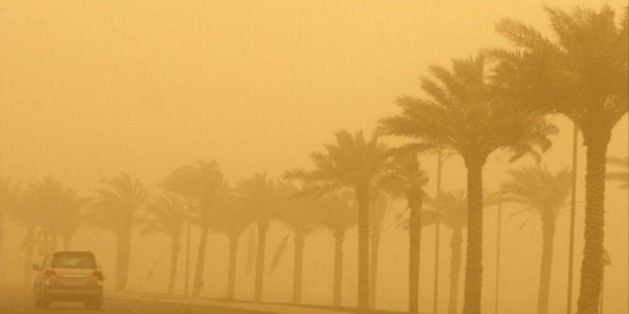 طقس الجمعة.. أتربة مثارة ورياح نشطة على المنطقة الشرقية