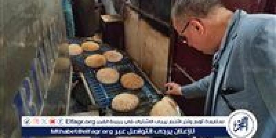 ضبط 25 طن دقيق ولحوم ومخللات وملح مجهول المصدر وتحرير 366 مخالفة بالدقهلية