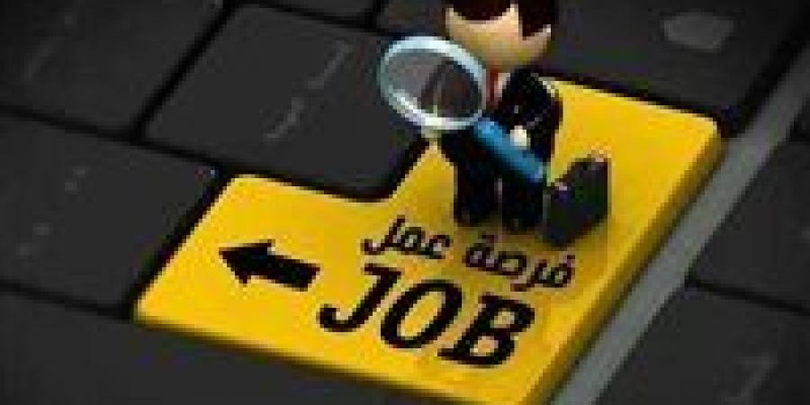 عاجل| براتب 300 دينار شهريًا.. فرص عمل جديدة متاحة للمصريين بالأردن