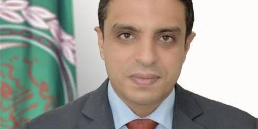 متحدث الجامعة العربية: مستوى التمثيل في القمم لا يجب أن يُقاس بالمثالية