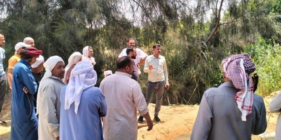رئيس مياه القناة: استخراج جذور الأشجار من شبكات قرية ميت أبو الكوم شرق الإسماعيلية