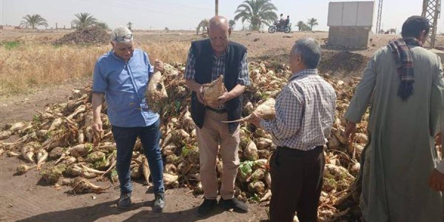 حصاد وتوريد القمح.. محافظة أسيوط تقديم الإرشاد الزراعي ومتابعة المحاصيل