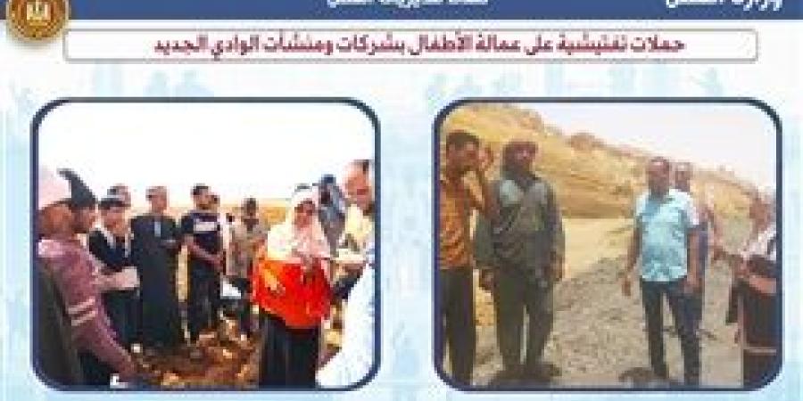 فرص عمل..وتدريبات مهنية ..وتوعية بالحقوق والواجبات في مواقع العمل