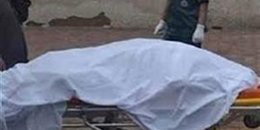 سوهاج.. مصرع عامل غرق بنهر النيل بدار السلام