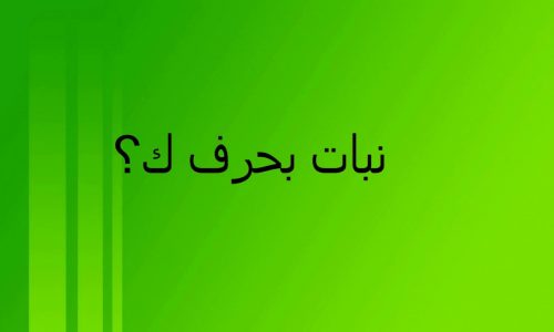 نبات ك: دليلك الشامل لمعرفة كل شيء عن نبات ك